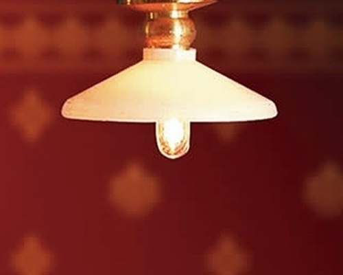 DE049B Short Ceiling Light Coolie